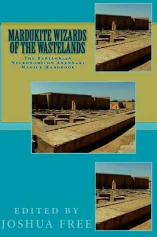 Cover of Mardukite Wizards of the Wastelands