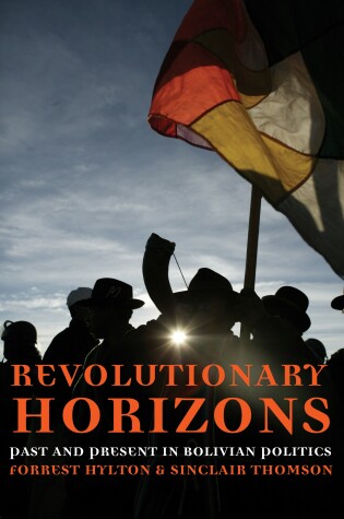 Cover of Revolutionary Horizons