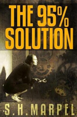 Cover of The 95%% Solution