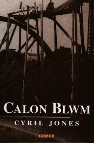 Cover of Calon Blwm