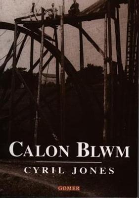 Book cover for Calon Blwm