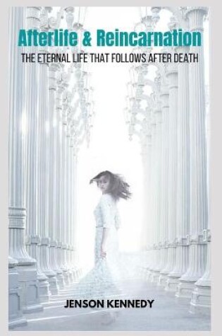 Cover of Aldila e reincarnazione La vita eterna che segue dopo la morte