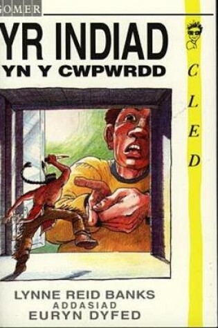 Cover of Cyfres Cled: Indiad yn y Cwpwrdd, Yr