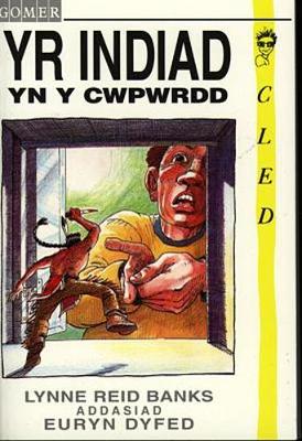 Book cover for Cyfres Cled: Indiad yn y Cwpwrdd, Yr