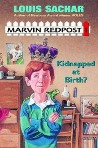 Cover of Kidnapped at Birth?