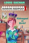 Book cover for Kidnapped at Birth?
