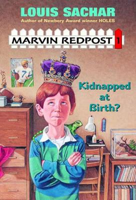 Cover of Kidnapped at Birth?