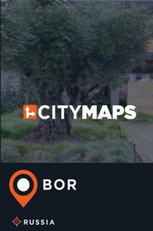 Cover of City Maps Bor Russia