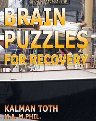 Book cover for Brain Puzzles for Recovery