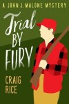 Book cover for Trial by Fury