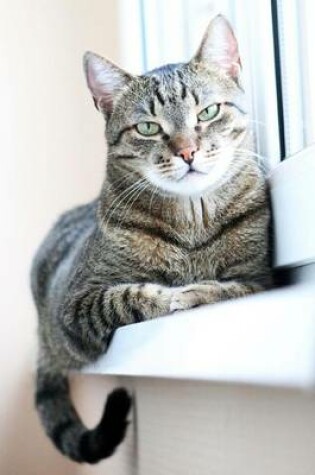 Cover of Tabby Cat on a Windowsill Journal