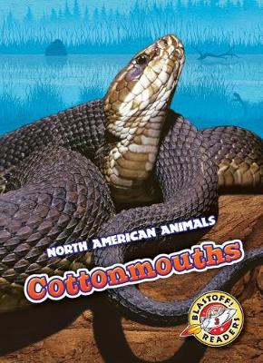 Book cover for Cottonmouths