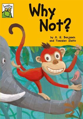 Book cover for Why Not?