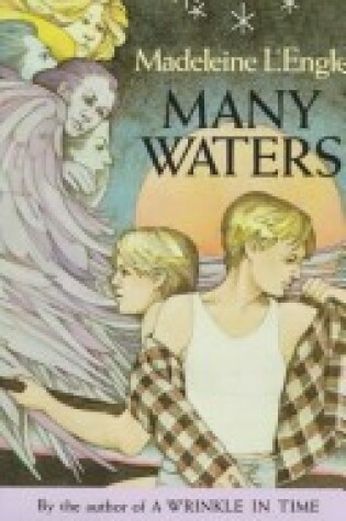 Cover of Many Waters