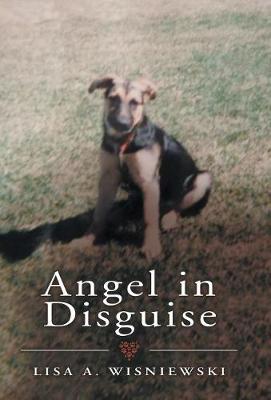 Book cover for Angel in Disguise
