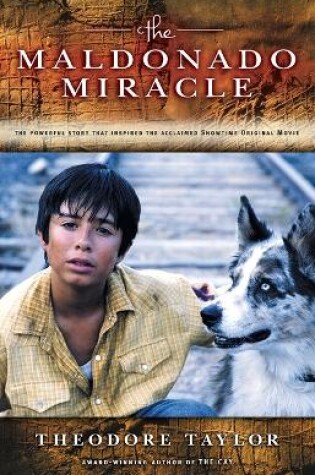 Cover of Maldonado Miracle