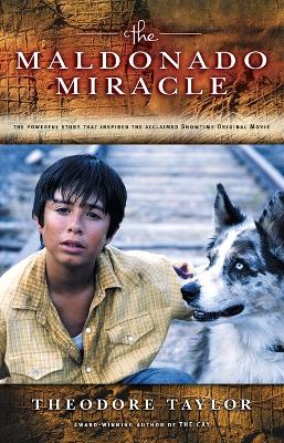 Book cover for Maldonado Miracle