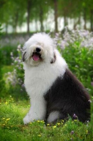 Cover of Say Hello to the Old English Sheepdog Journal