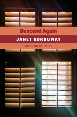 Book cover for Descend Again