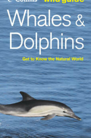 Cover of Whales and Dolphins