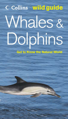 Book cover for Whales and Dolphins