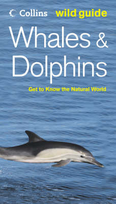 Cover of Whales and Dolphins