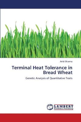 Book cover for Terminal Heat Tolerance in Bread Wheat