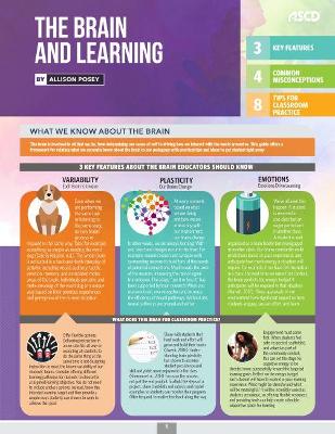 Book cover for The Brain and Learning (Quick Reference Guide 25-Pack)