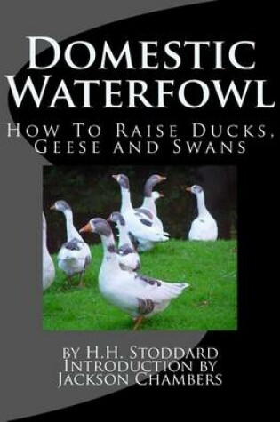 Cover of Domestic Waterfowl