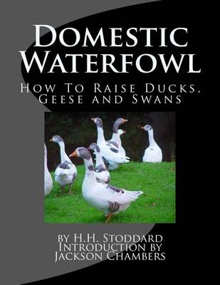 Book cover for Domestic Waterfowl