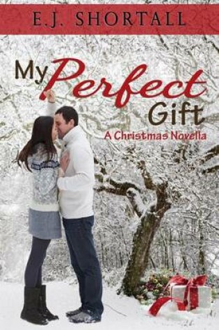 Cover of My Perfect Gift