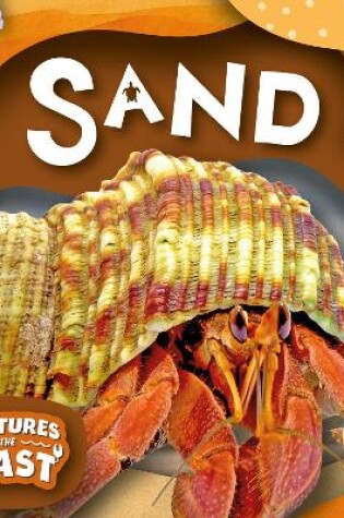 Cover of Sand