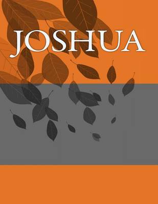 Book cover for Joshua