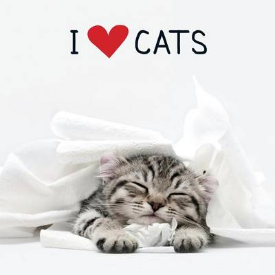 Cover of I Love Cats