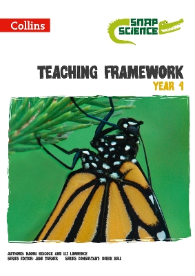 Book cover for Teaching Framework Year 4