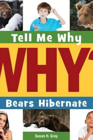 Cover of Bears Hibernate