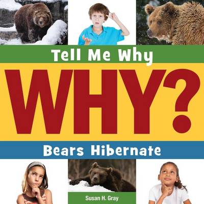 Book cover for Bears Hibernate