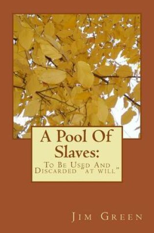 Cover of A Pool Of Slaves