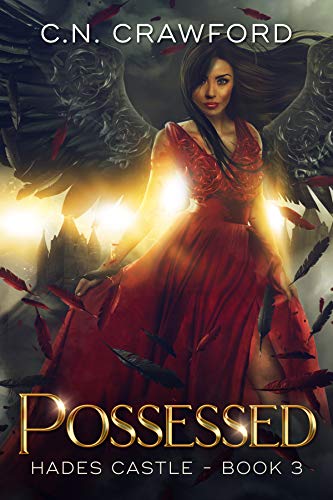 Cover of Possessed