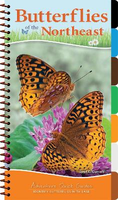 Book cover for Butterflies of the Northeast