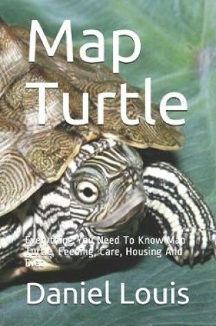 Cover of Map Turtle