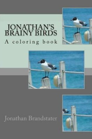 Cover of Jonathan's Brainy Birds