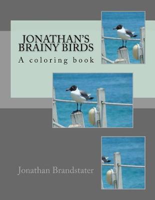 Book cover for Jonathan's Brainy Birds