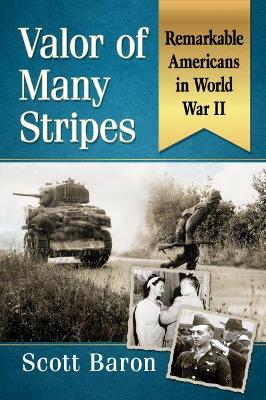 Book cover for Valor of Many Stripes