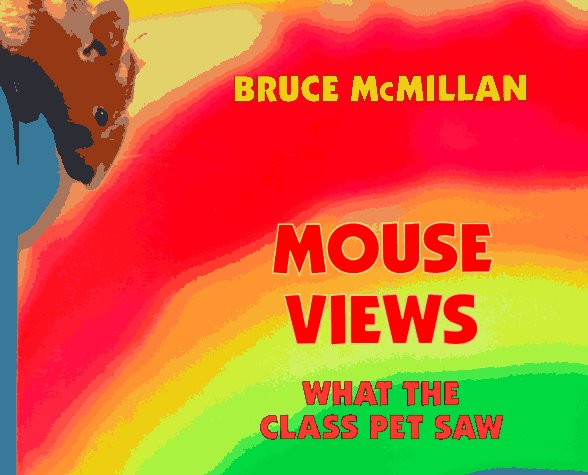 Book cover for Mouse Views