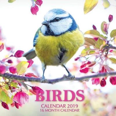 Book cover for Birds Calendar 2019