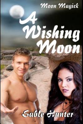 Book cover for A Wishing Moon