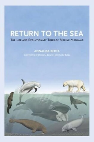 Cover of Return to the Sea