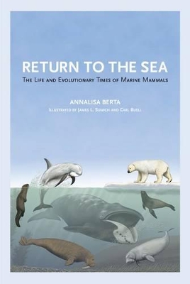 Book cover for Return to the Sea