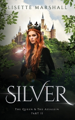 Book cover for Silver